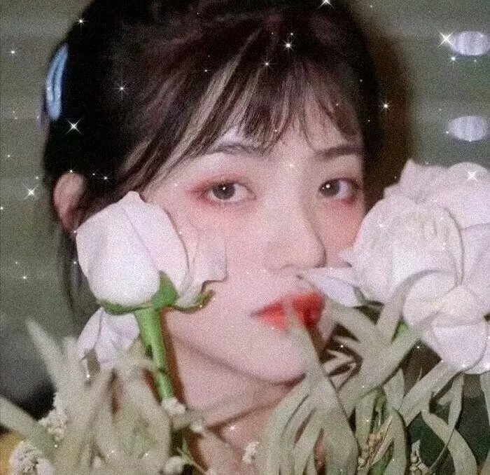 麋鹿王